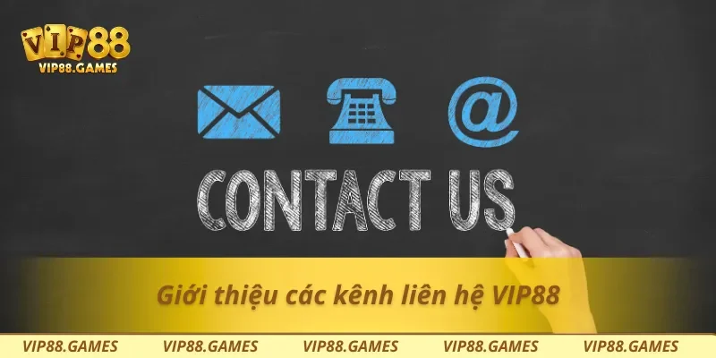 Giới thiệu các kênh liên hệ Vip88